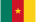 cameroon_flag_world_cup_2014